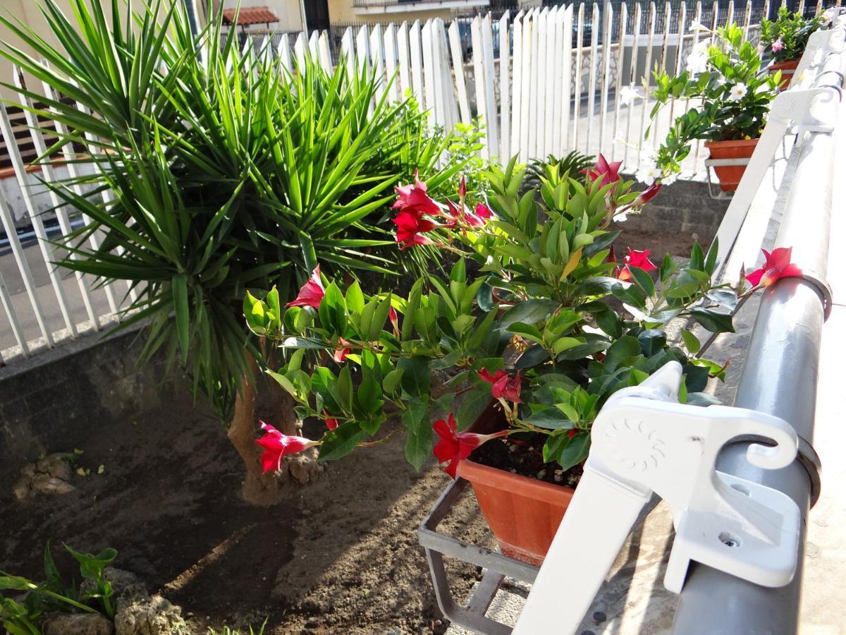 White Lady B&B Pompei Dış mekan fotoğraf